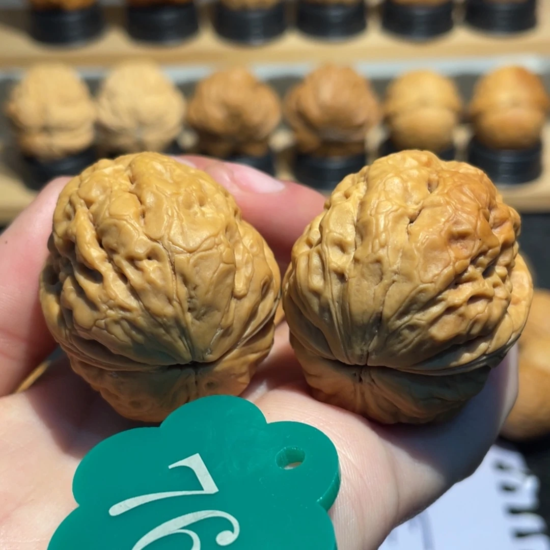 粗筋帝王蟾核桃37。微彩