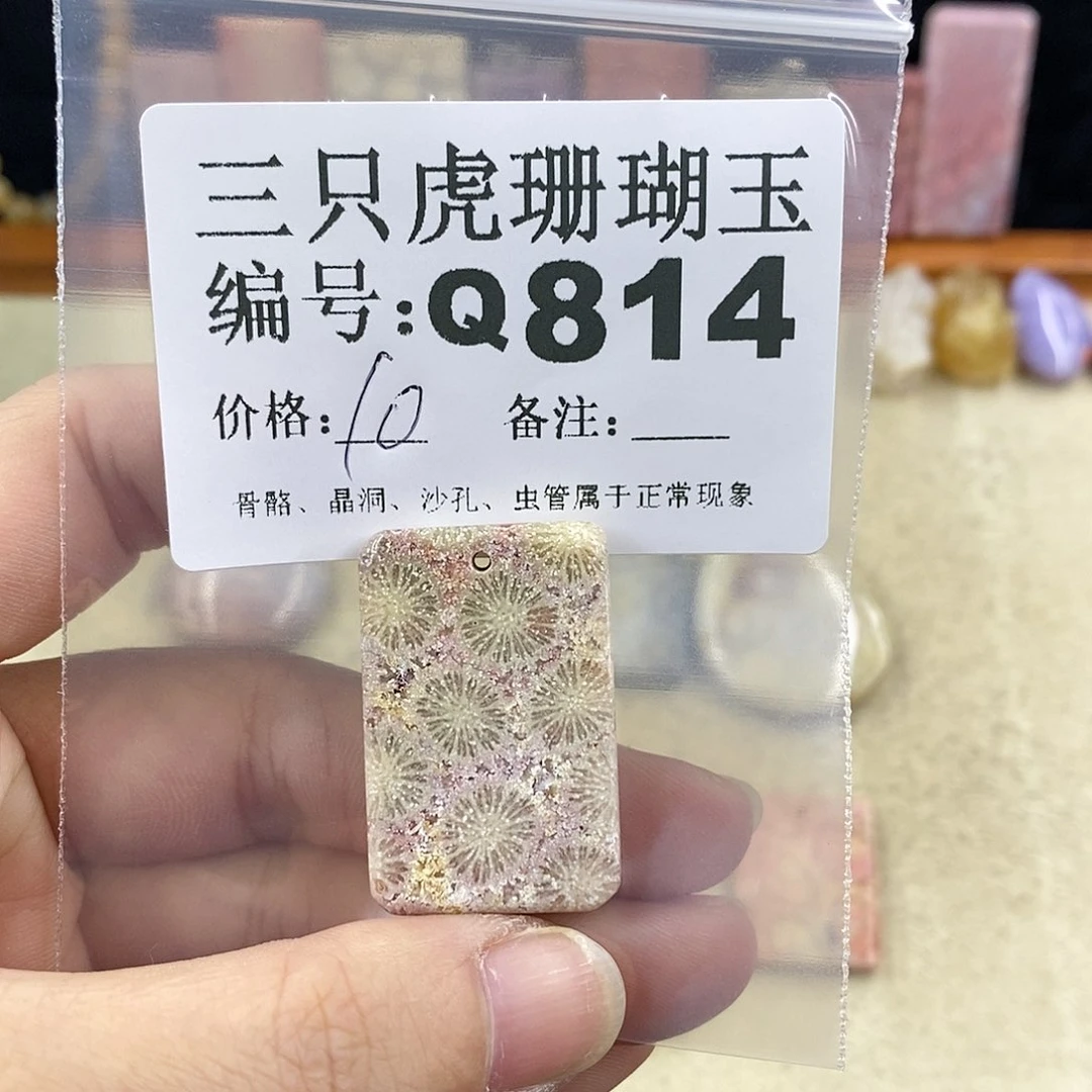 硅化珊瑚（珊瑚玉）1未镶嵌小***朝
