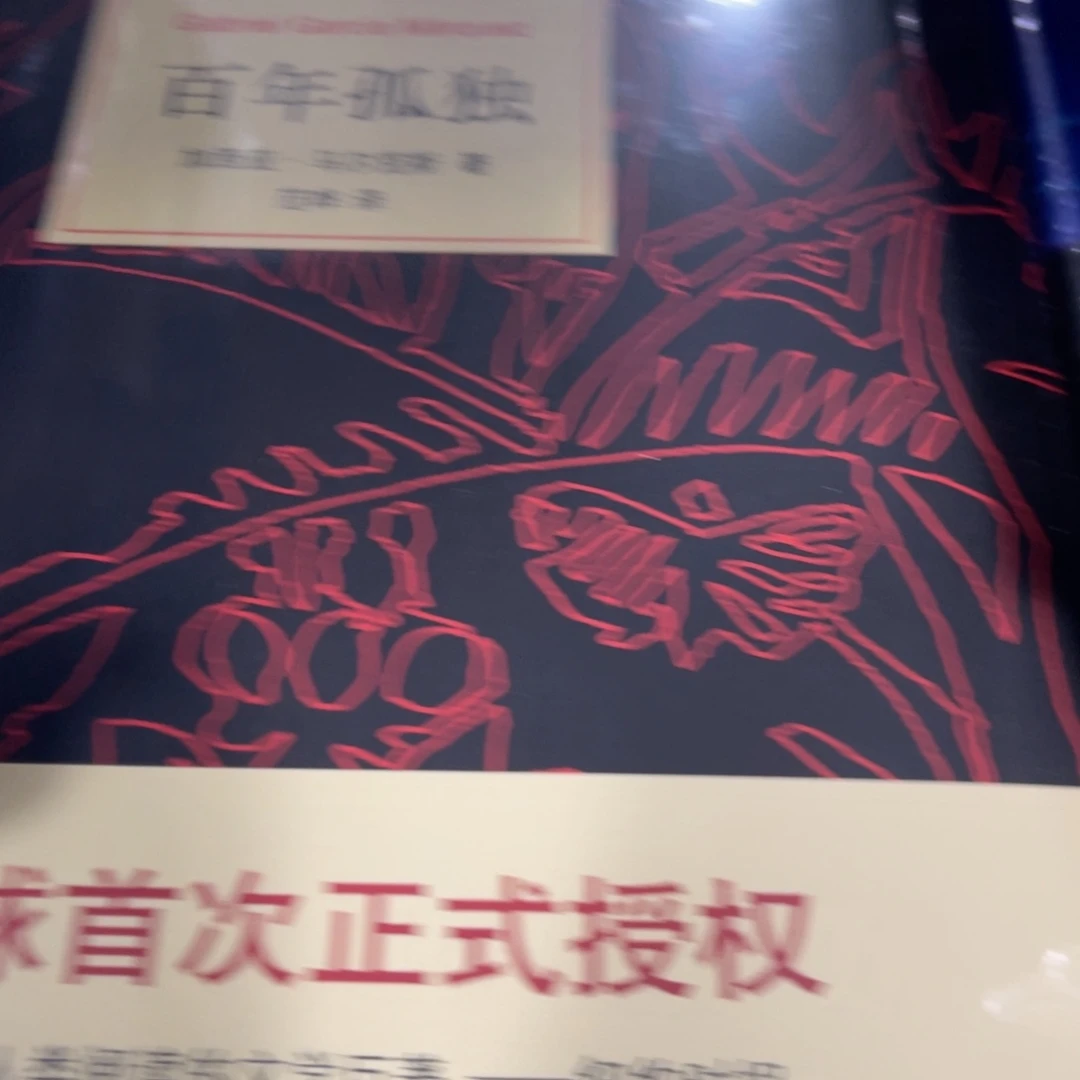 百年孤独精装一个