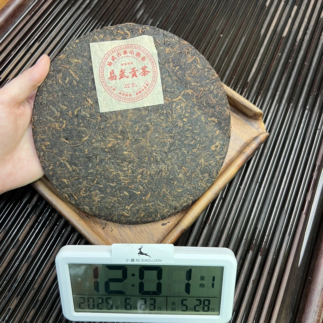 易武贡茶  小鹿收茶 熟普 普洱茶 6月23