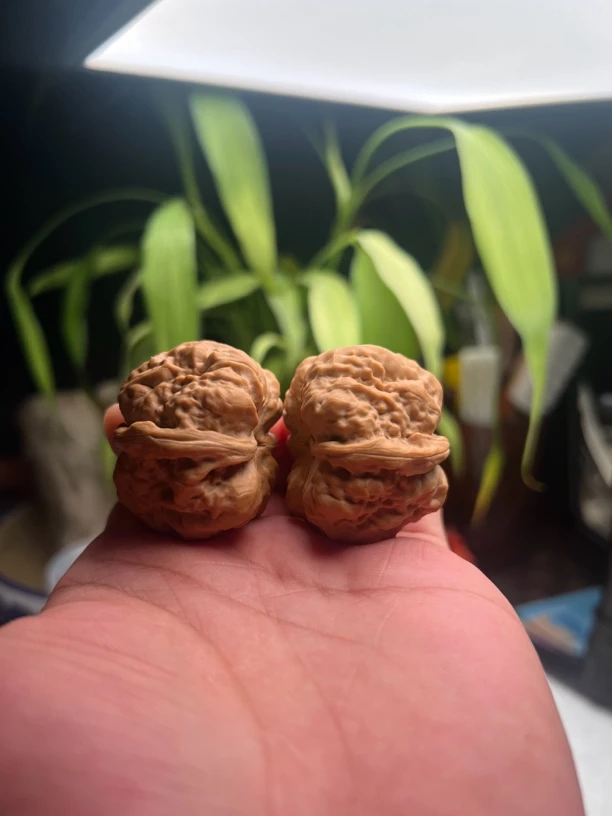 金蝉蛤蟆头文玩核桃