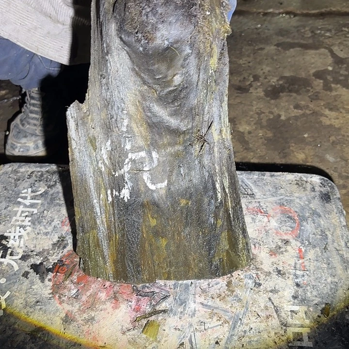 m***a金丝楠金丝楠阴沉木