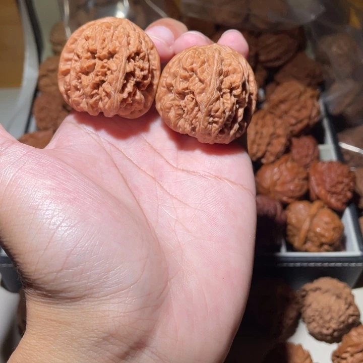 38尺寸全品无修粗筋