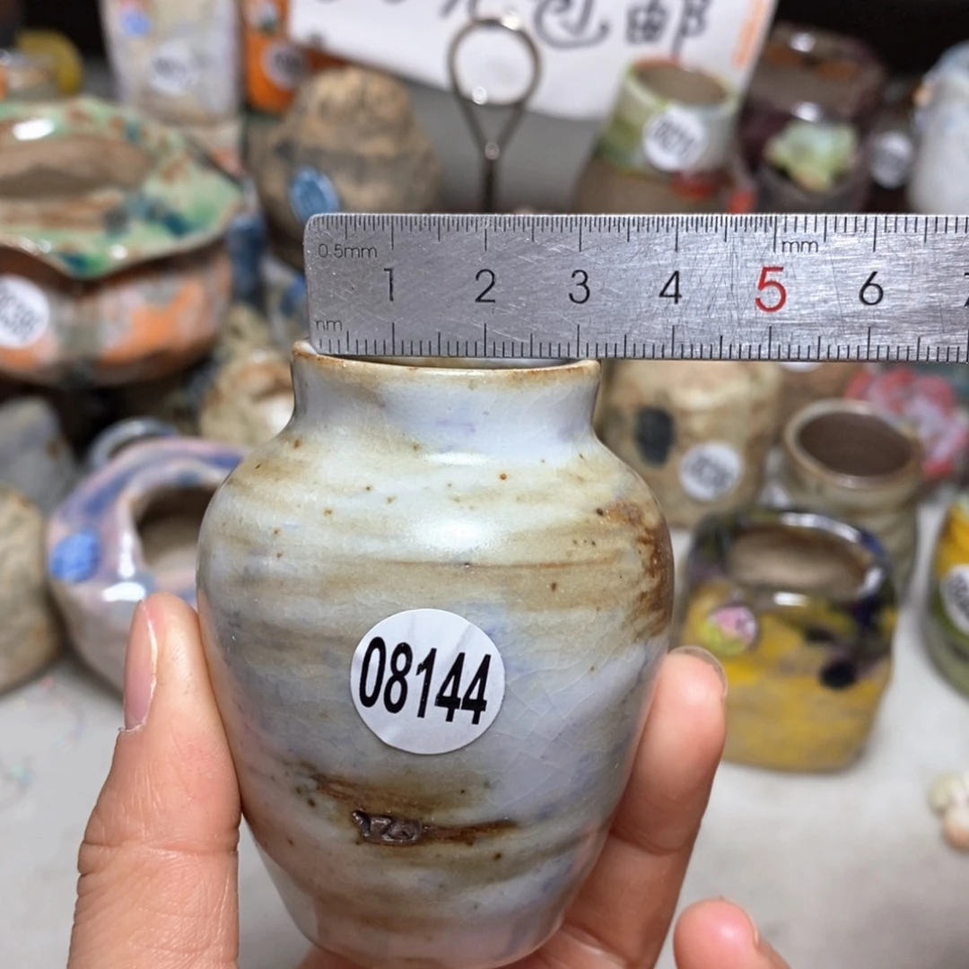 花盆拍5送一个小礼物