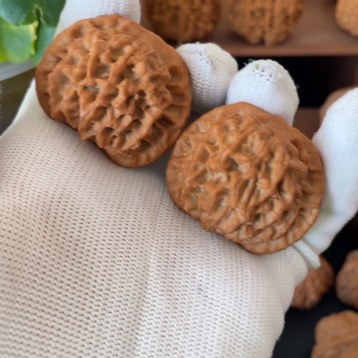 秦岭核桃的品种秦闷