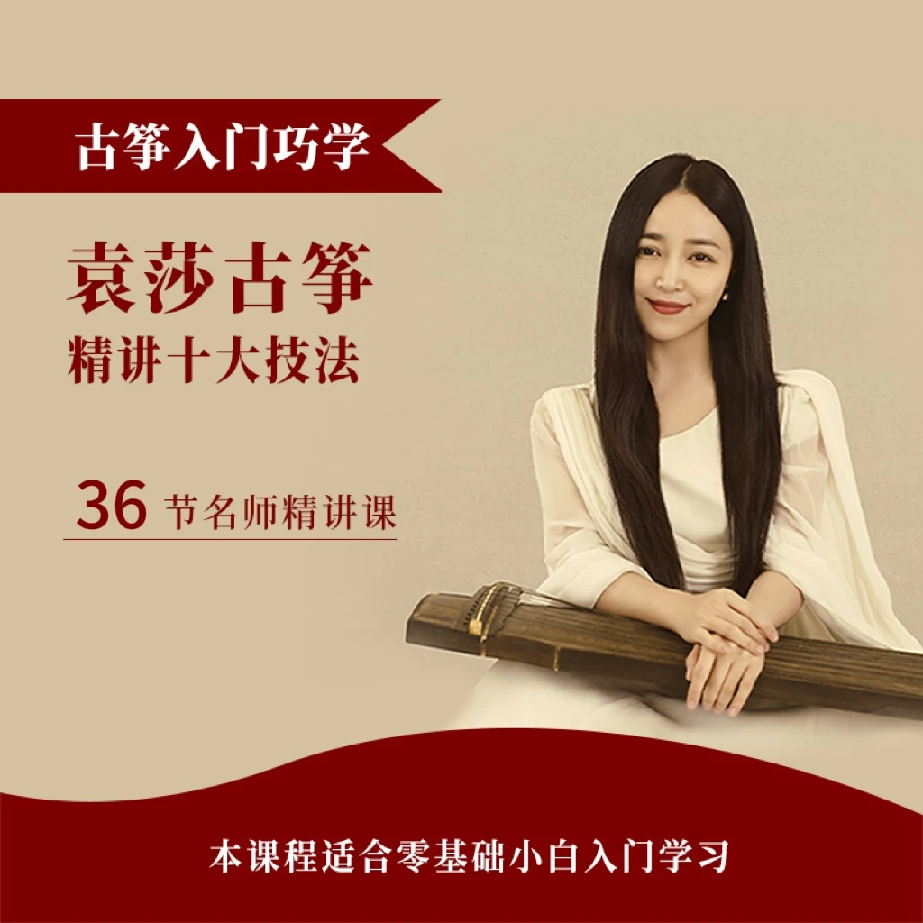 袁莎古筝精讲十大技法课程(适合0基础入门）