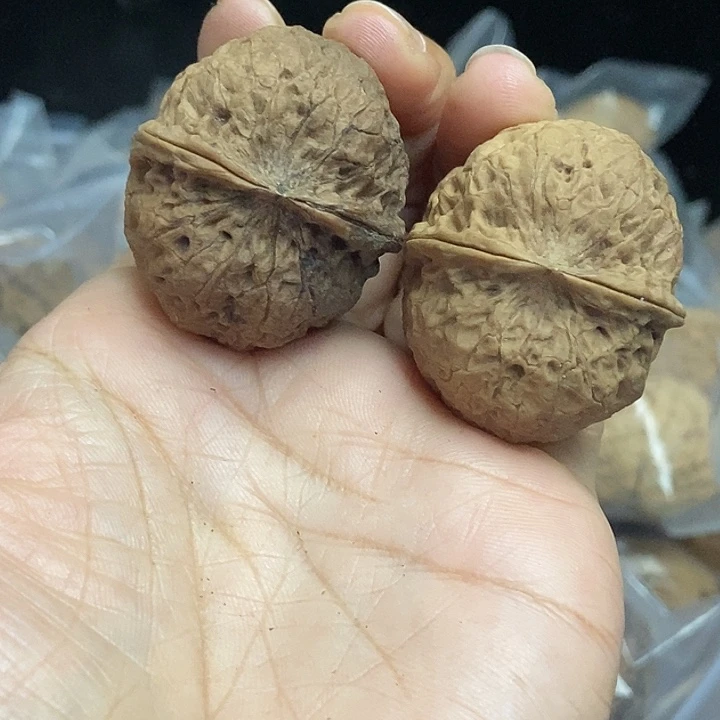 木质类云南铁核桃+72