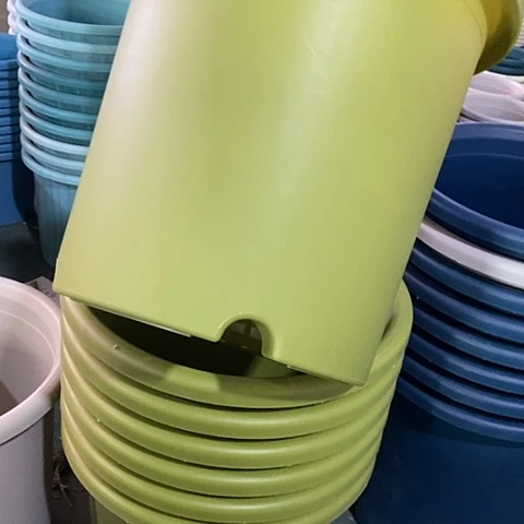 树脂四季8号微瑕果绿无托5个