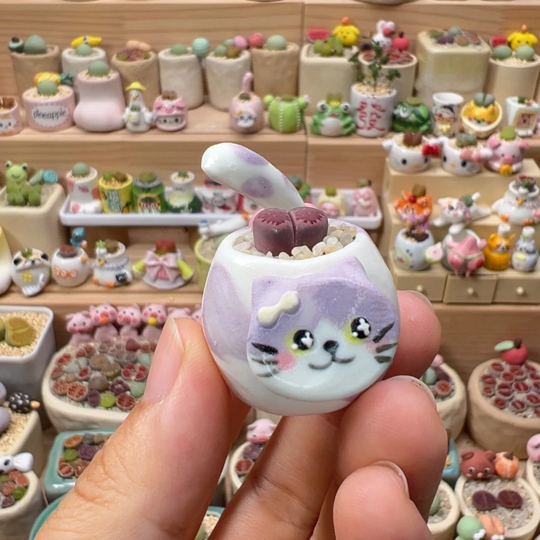 多肉植物34号紫色猫