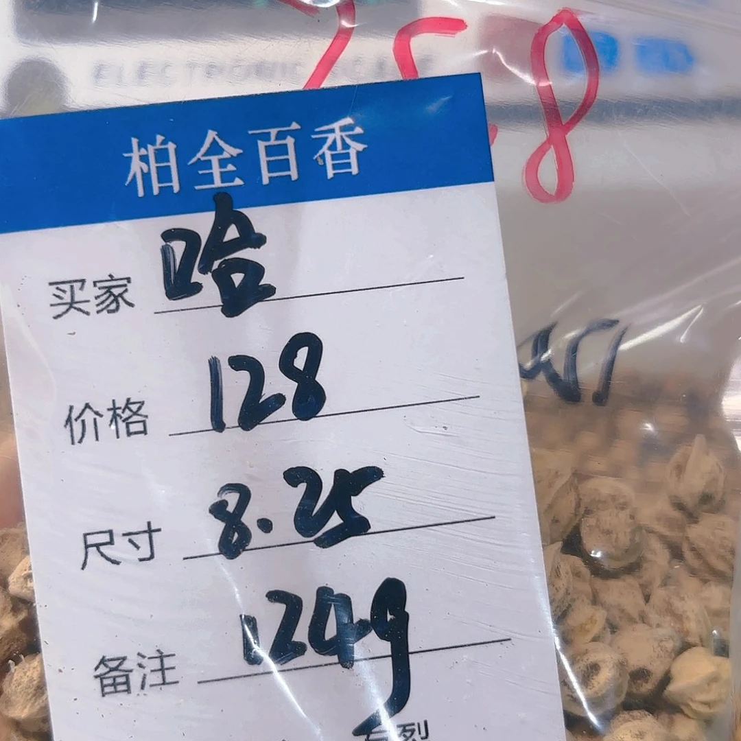 哈****哈柏香籽散子 124 克散子