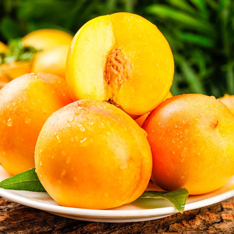 山东蒙阴黄金油桃2.5/4.5斤新鲜水果黄桃黄心油桃现摘黄肉桃子