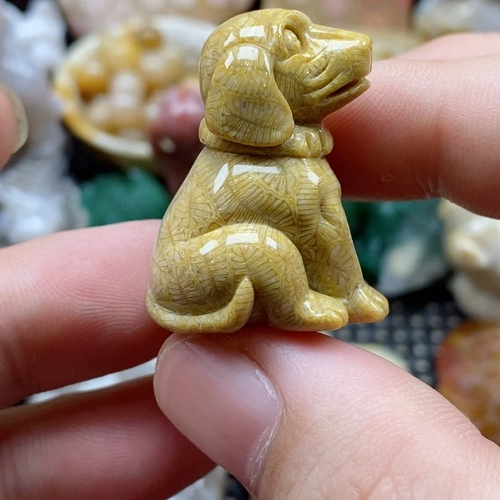 硅化珊瑚（珊瑚玉）颈饰未镶嵌