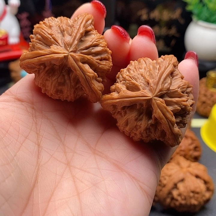 核桃37拼接白狮子