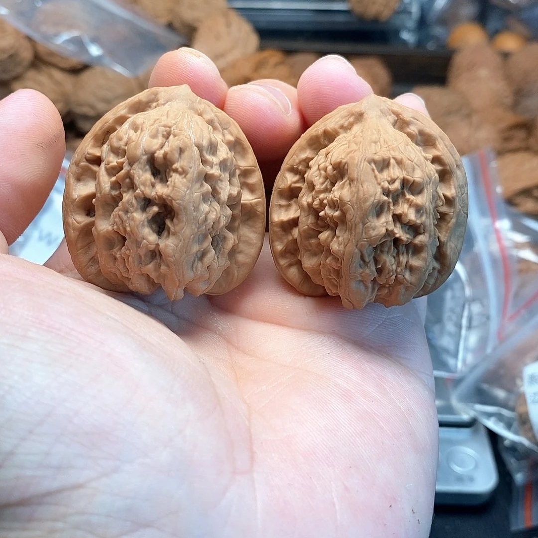1文玩核桃蚂蚁沟38-221