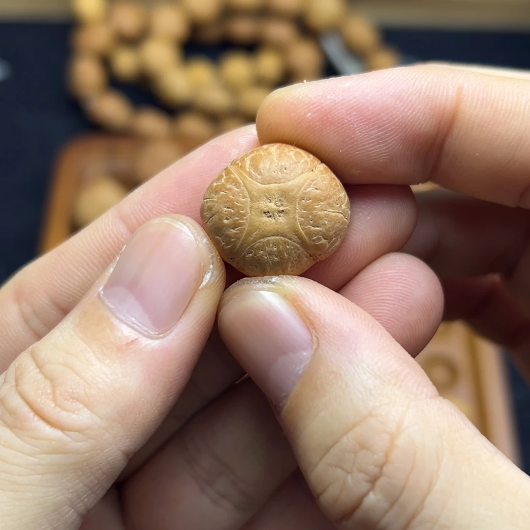 凤眼菩提手串20.8麒麟眼