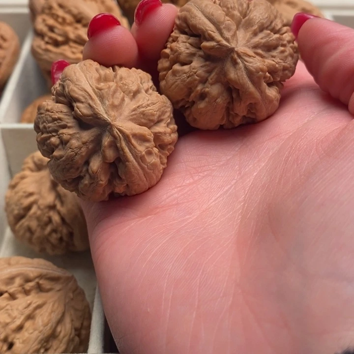 想***下霸王龙全品无修一刀没动