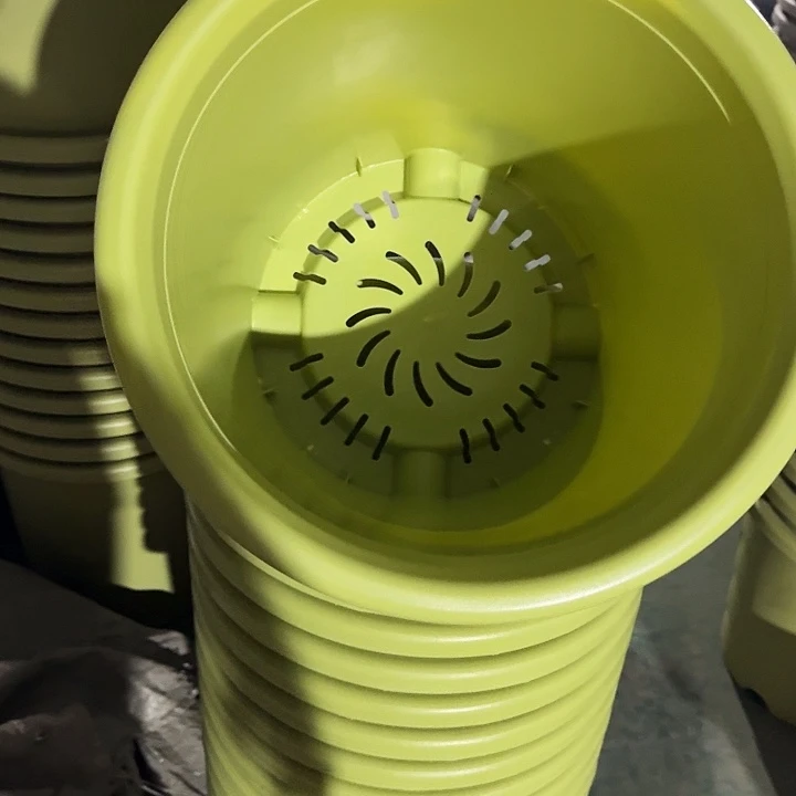 四季8号果绿无托3个特价微瑕