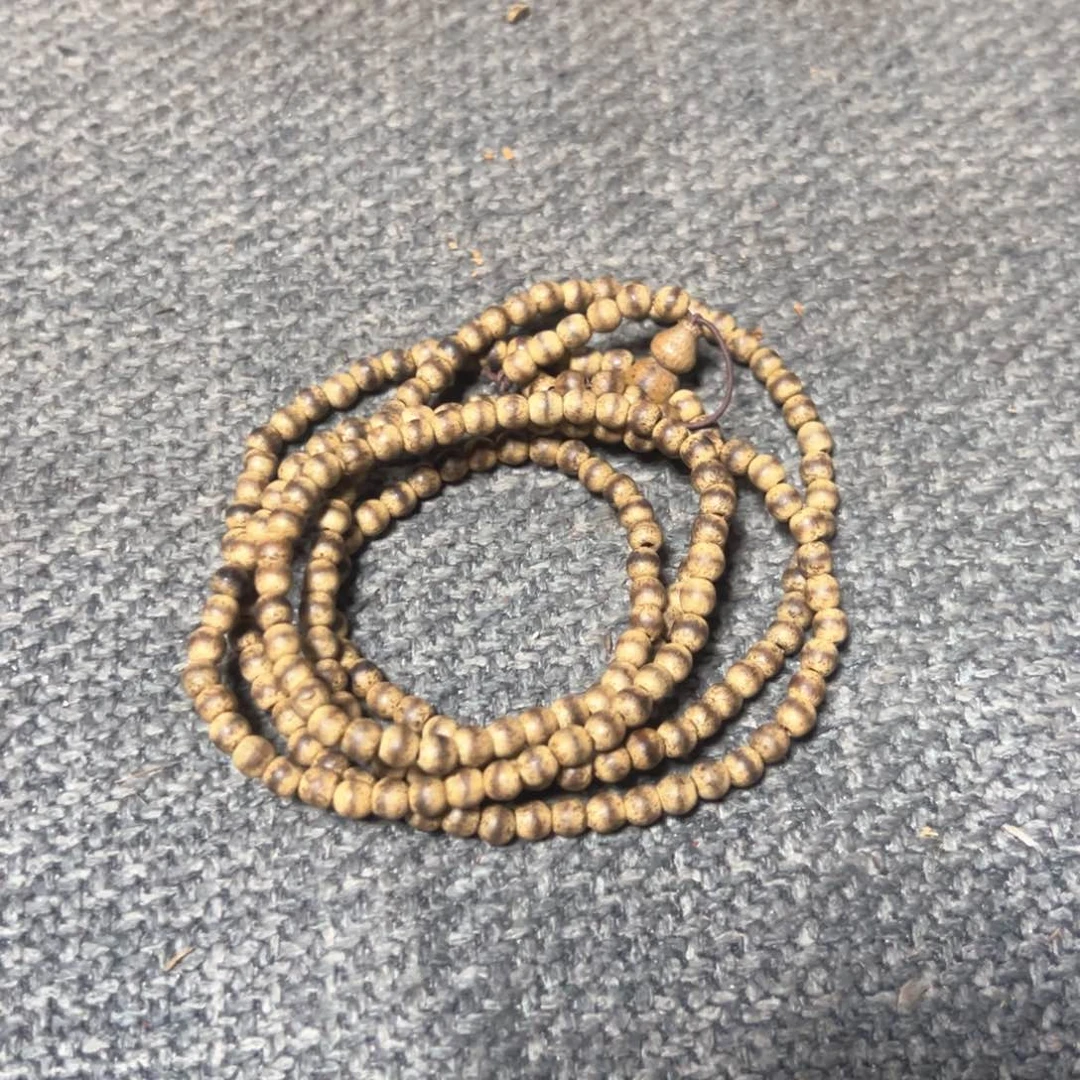 木欢迎老师们进入直播间