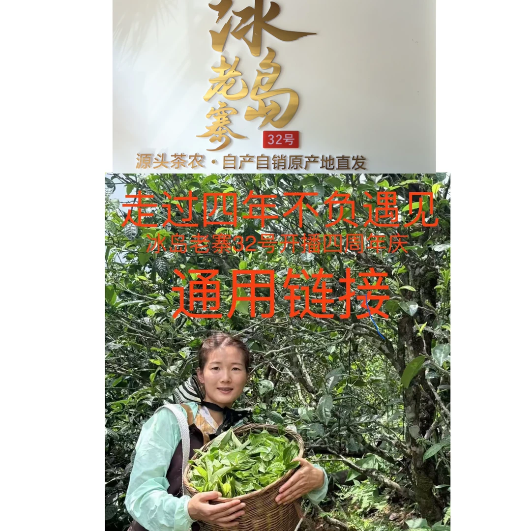 冰岛老寨32号四周年庆典通用链接(25年春红白龙珠混)冰岛纯料好茶