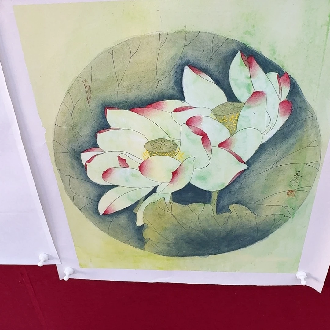 国画50.50手绘作品绿荷花