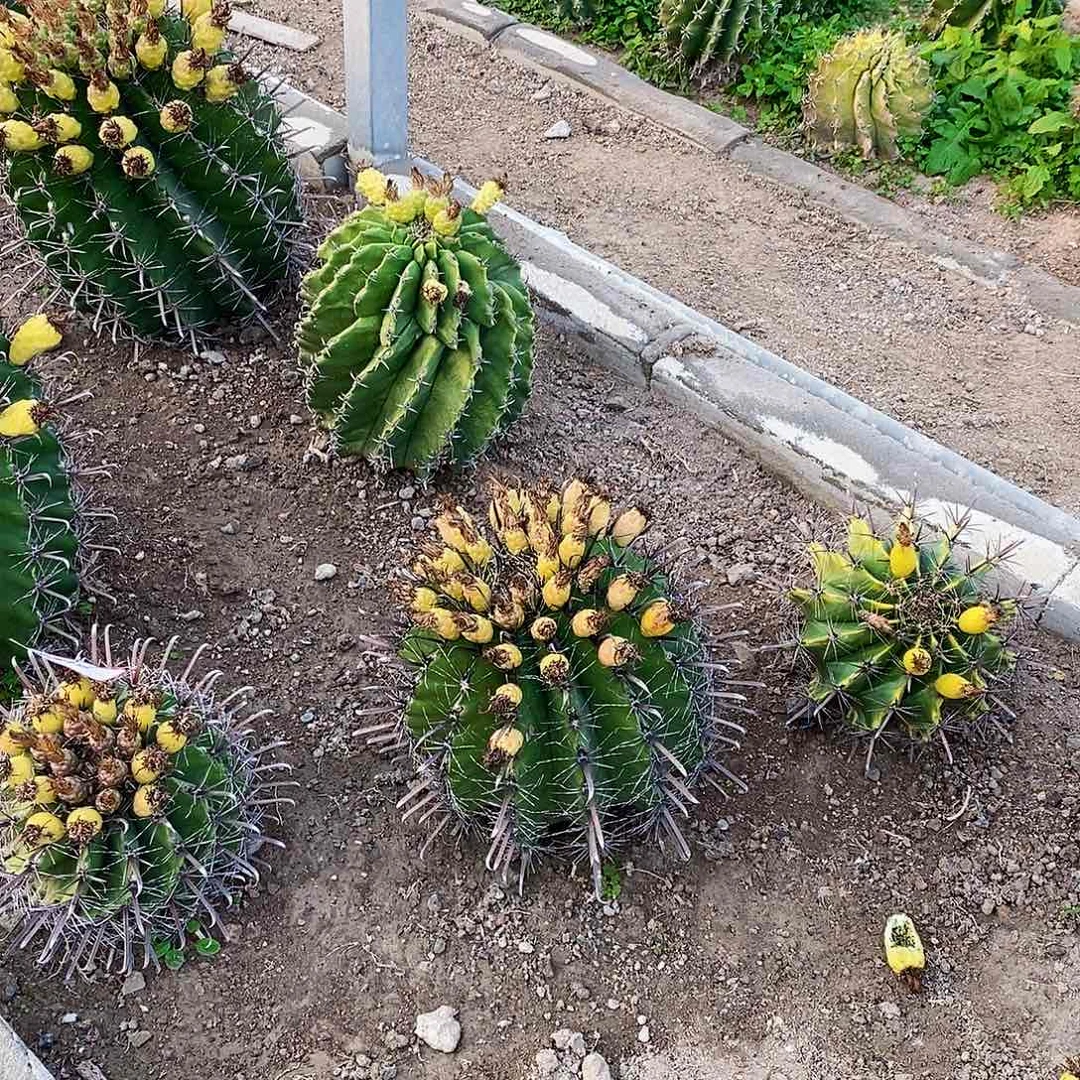 开**张39900000000000