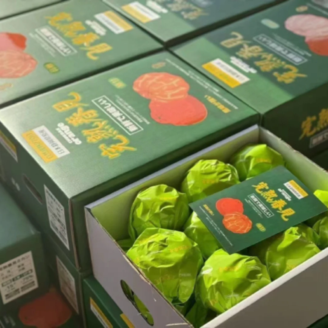 晚熟春见耙耙柑礼盒装