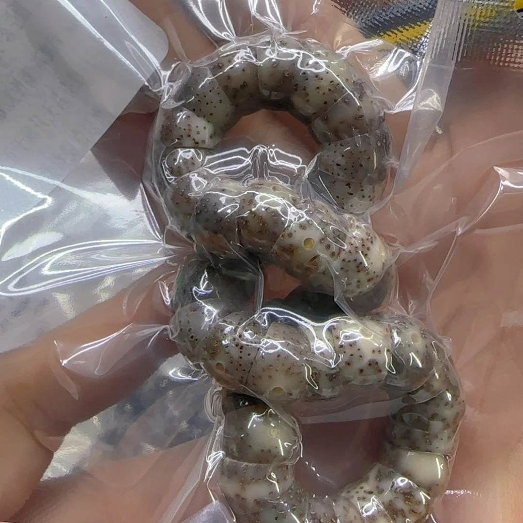 星月菩提手串14荣耀灰星月菩提1.0大肠单圈