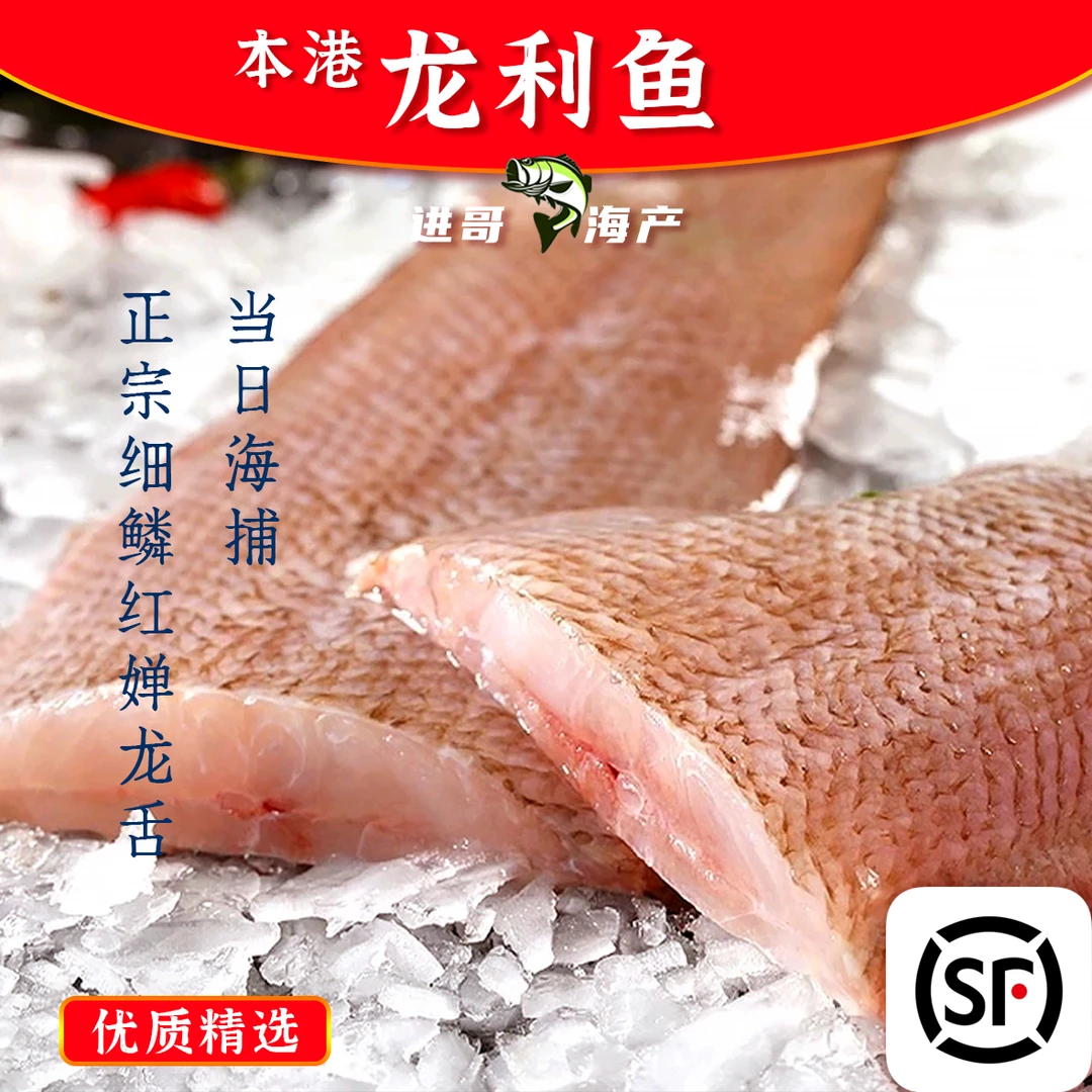 100%好评广东汕尾本港红婵龙舌/龙利鱼 新鲜处理顺丰冷链保鲜发货