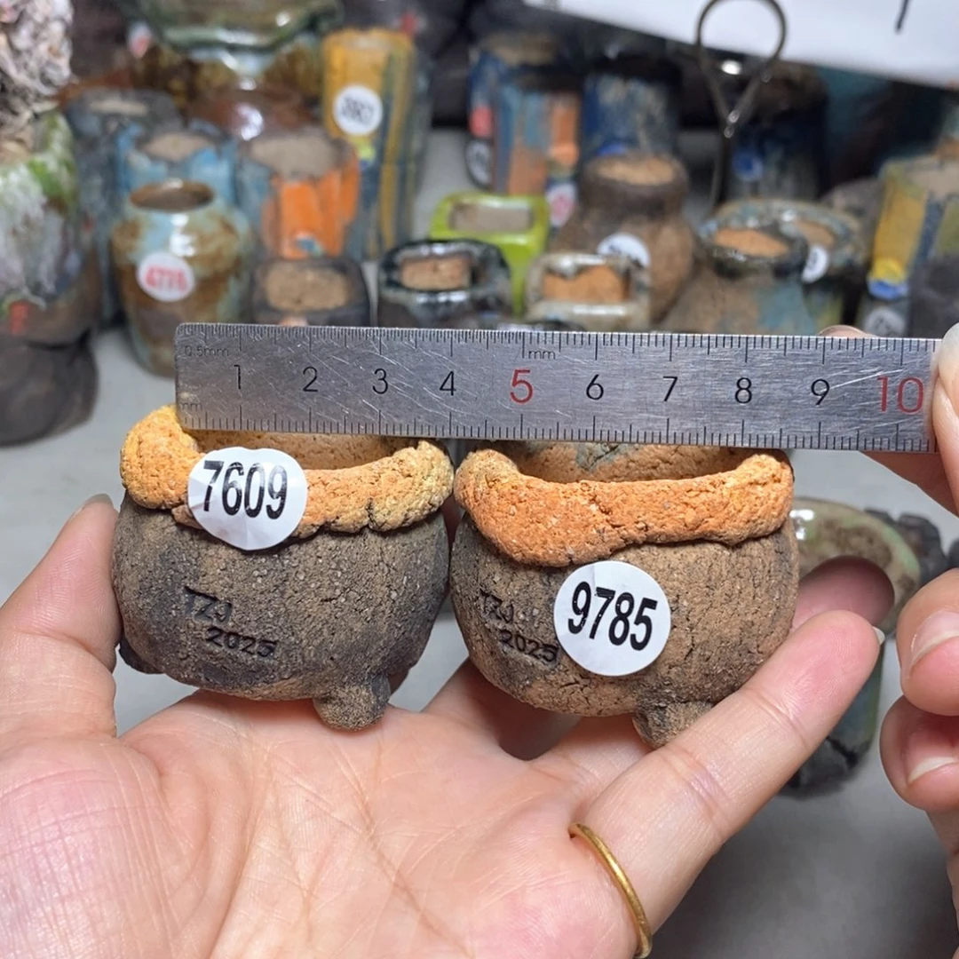 j**h拍3送一个小礼物