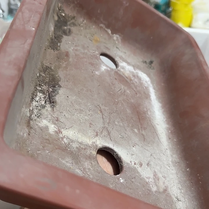 小***建扇子吃b被别别扭扭斤斤计较