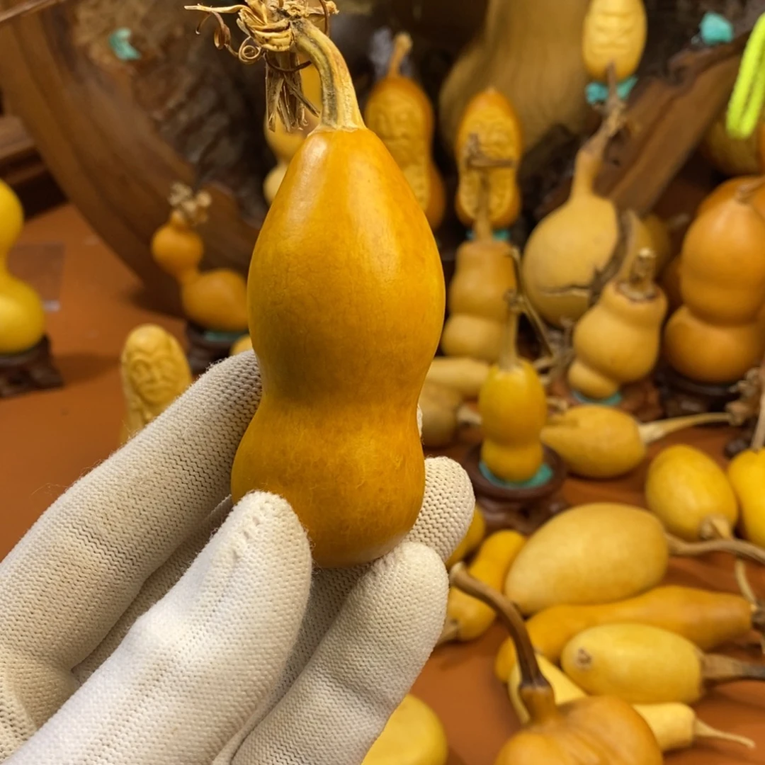 尼***丁教练咯考虑路途教练咯