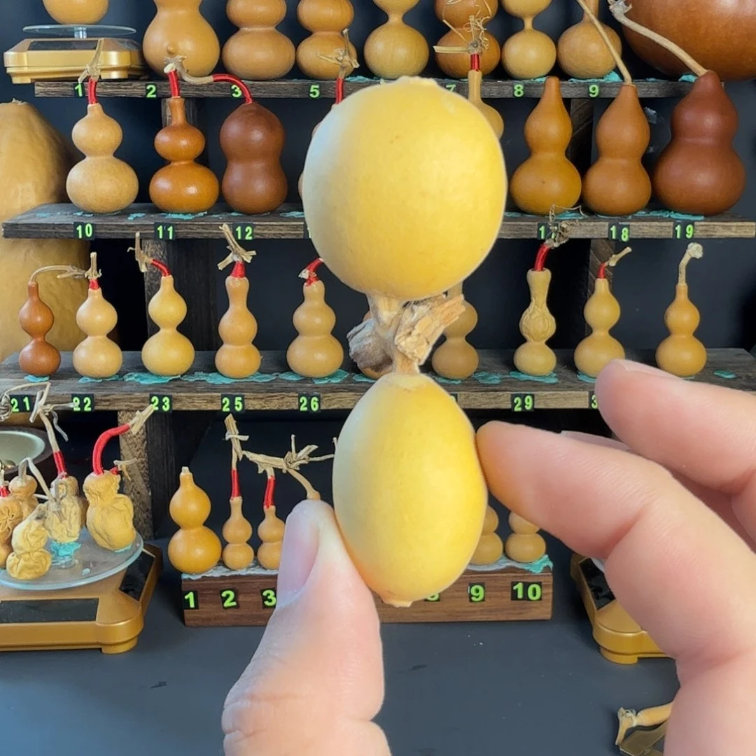 葫芦葫芦葫芦葫芦葫芦葫芦