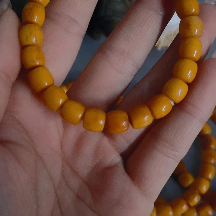 大果紫檀（缅甸花梨）