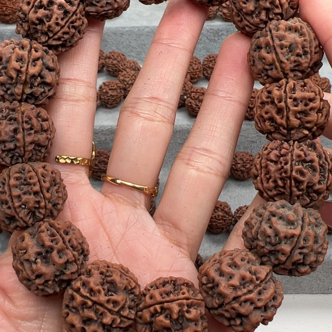 六瓣精品金刚菩提