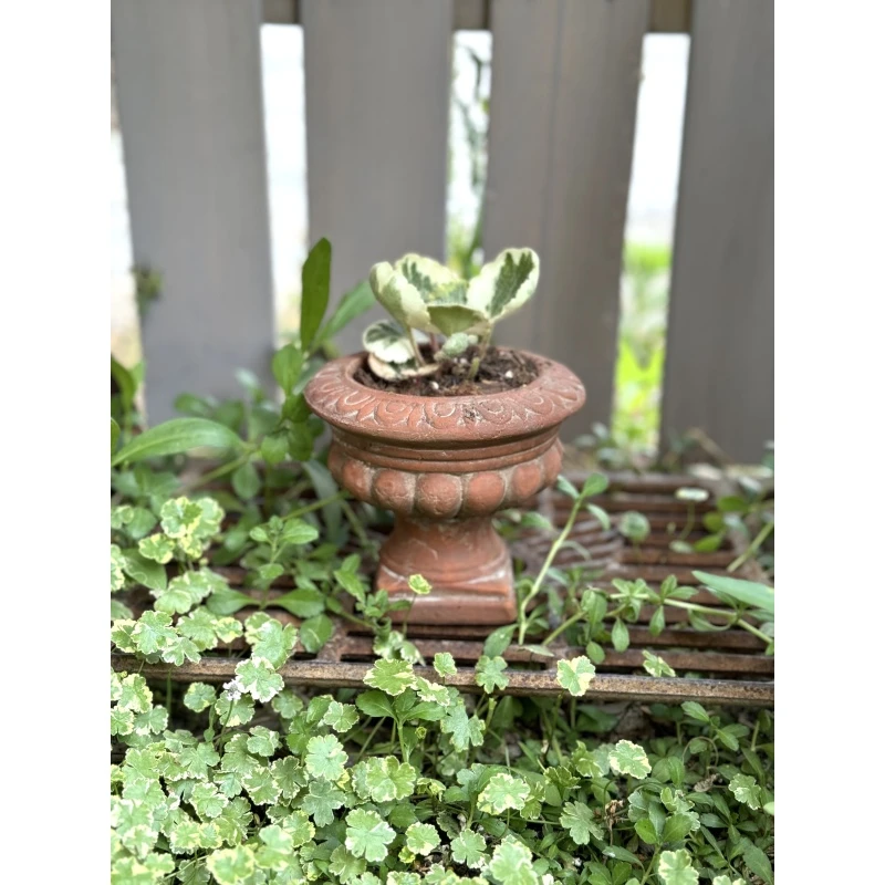 手工粗陶花盆红陶小奖杯复古花盆花园摆件