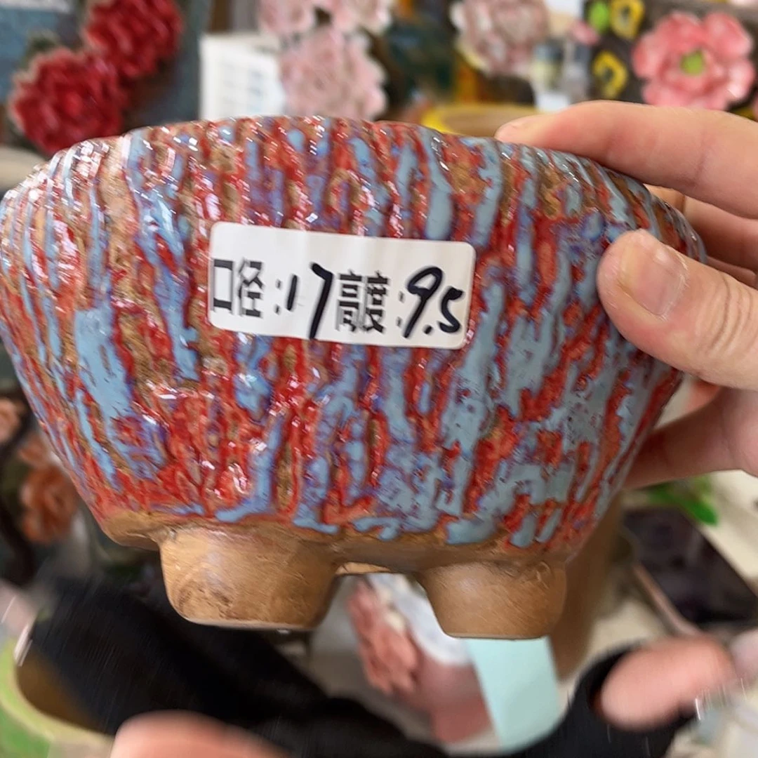 【闪购商品】红陶福利