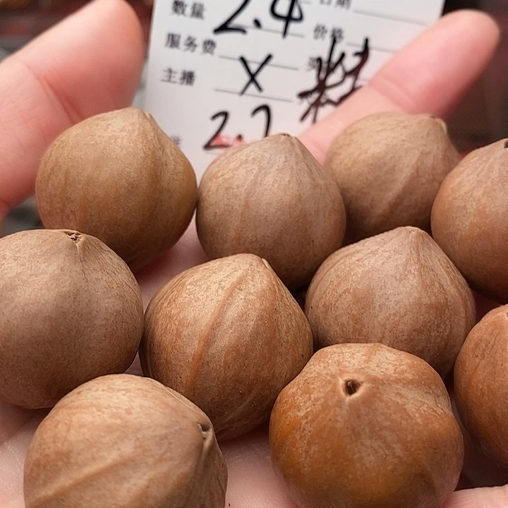 手串/手链橄榄核特****鹉