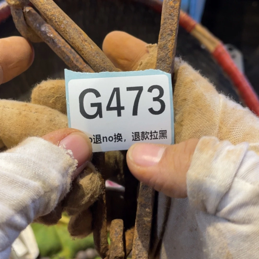中***哥瓷片表弟链接火爆热卖热卖