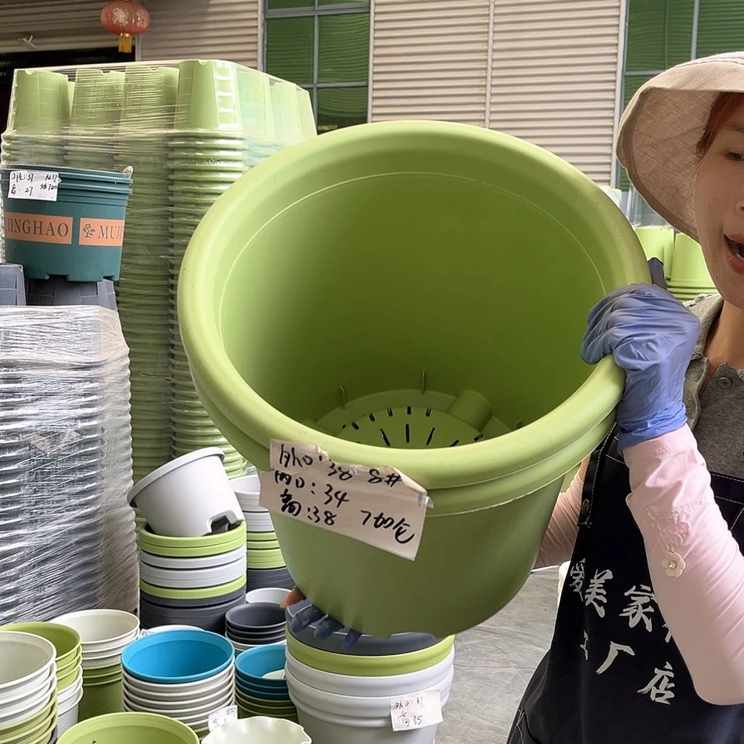 四季盆8#果绿色5个含托