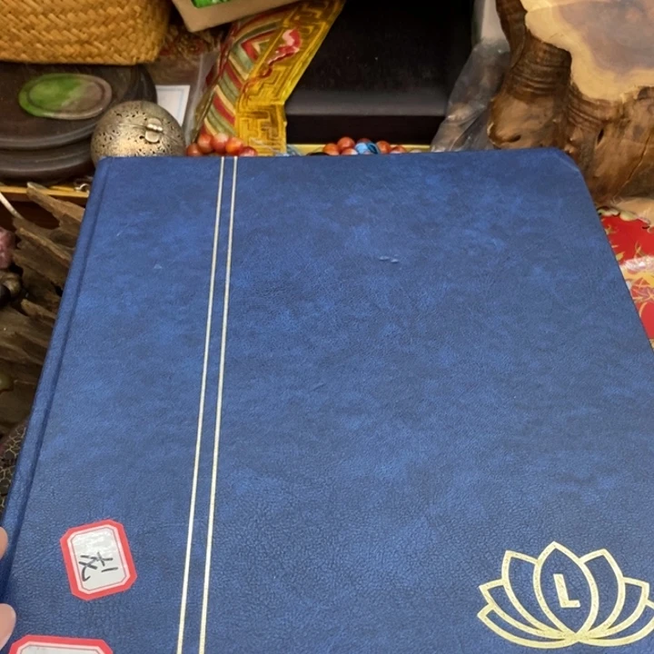 瓷片哦哦哦哦哦哦哦哦哦哦