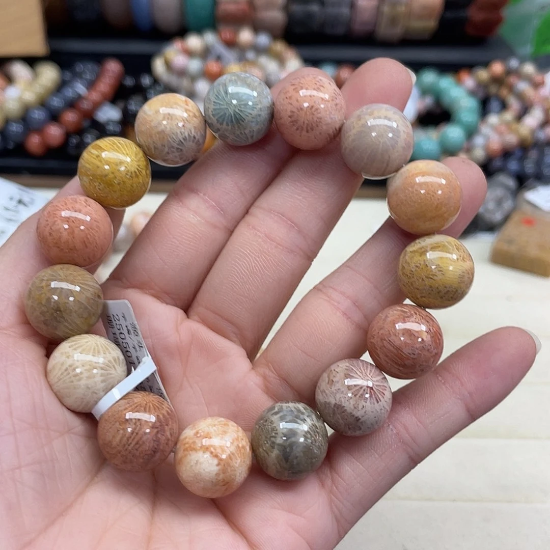 未镶嵌手串硅化珊瑚（珊瑚玉）小****?987