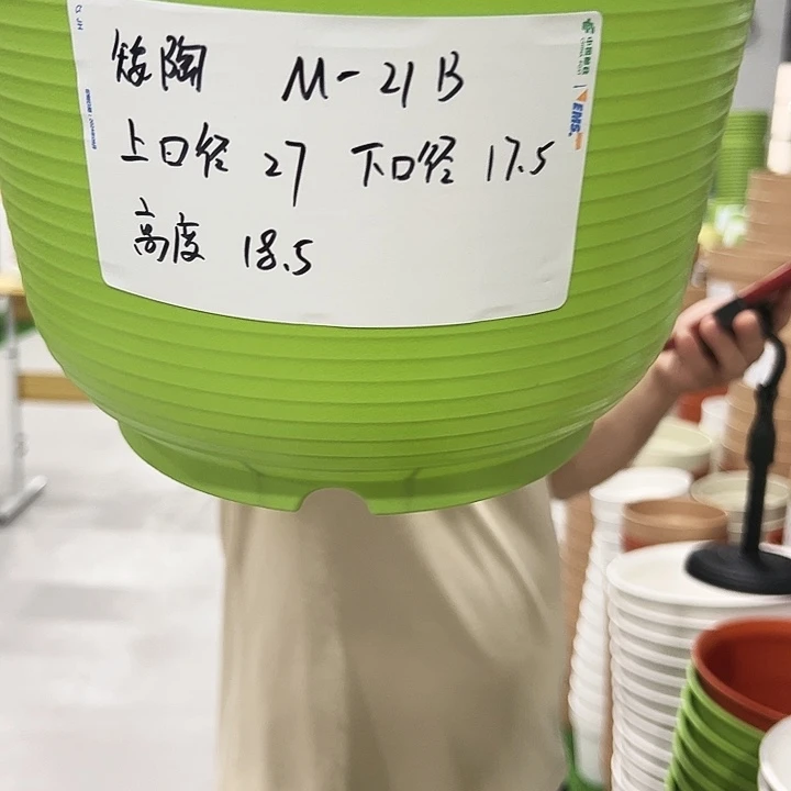 正品矮陶口27高19混色无托6个