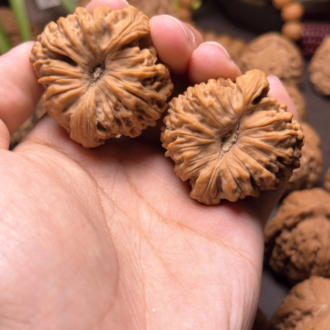 煜*南疆石南疆石尖肚浮黄42