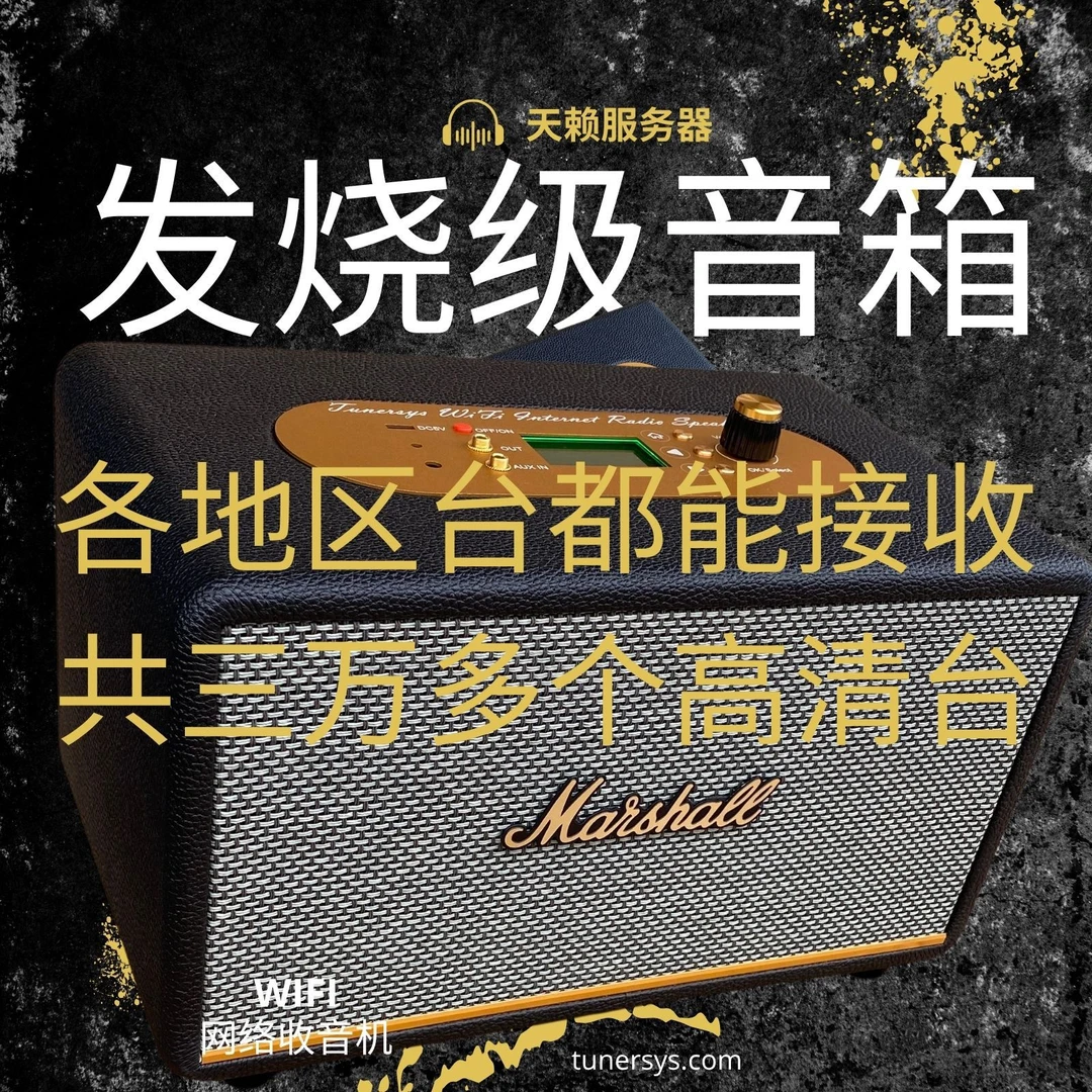 WiFi网络收音机无线智能高端专业收音头HiFi立体声复古蓝牙音箱