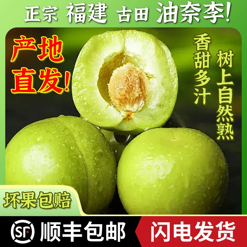 【顺丰包邮】正宗福建古田油奈李当季水果脆甜多汁孕妇可食5斤