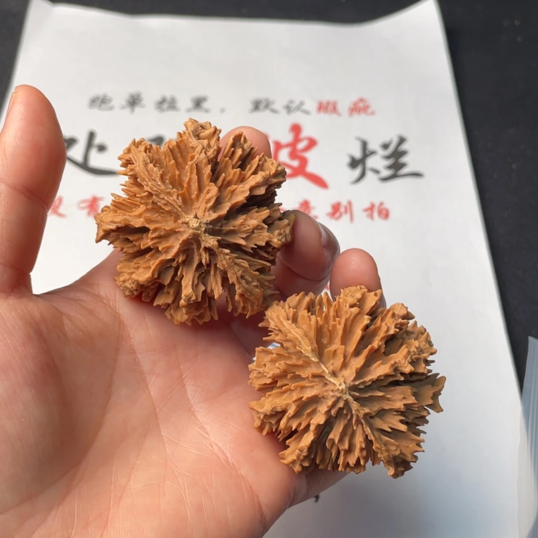 把件文玩核桃957。50秦岭秋子有磕碰有黄