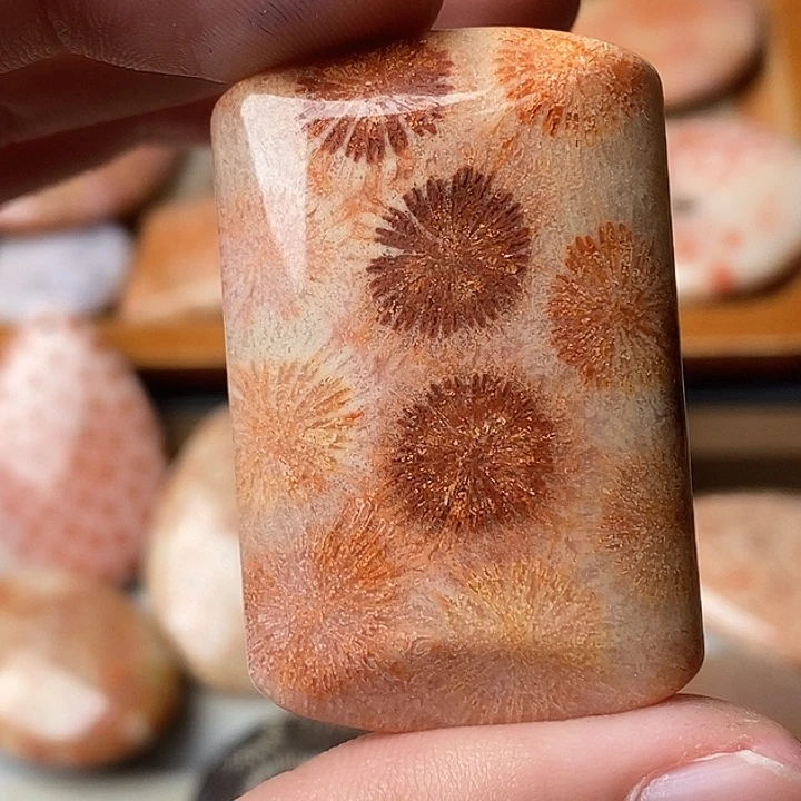 和***正硅化玉未镶嵌颈饰