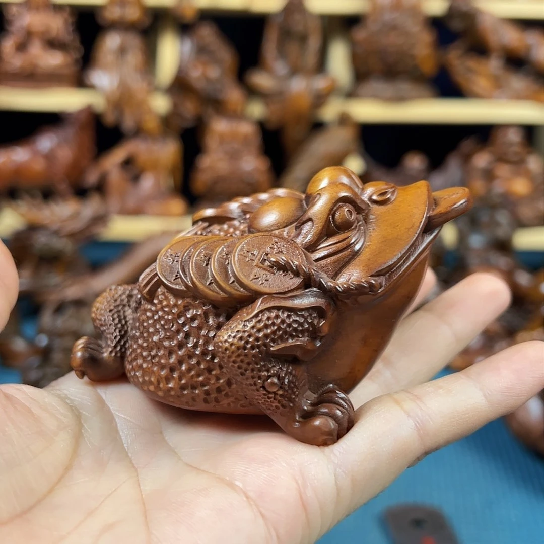 黄杨木小叶黄杨木