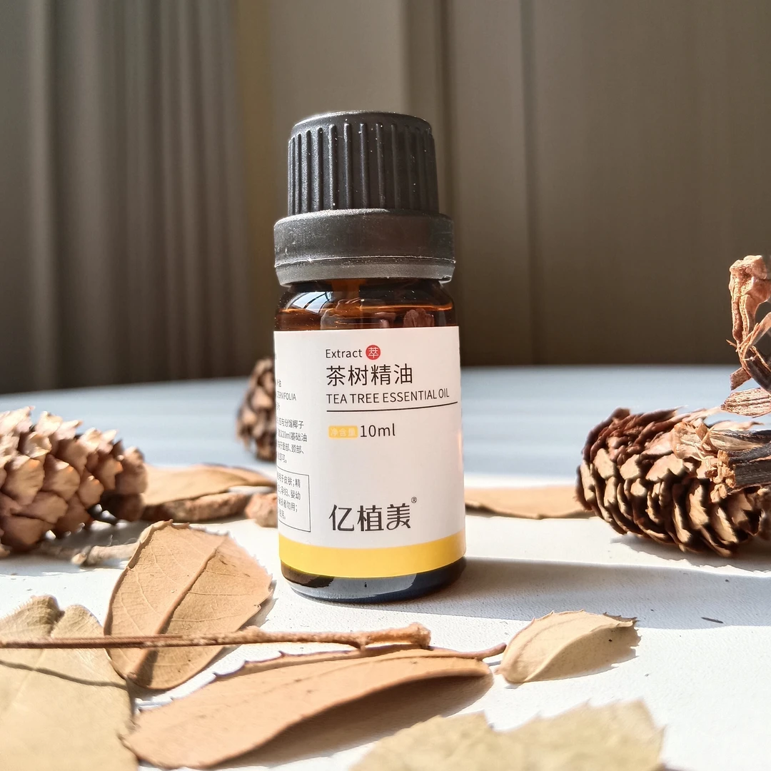 澳洲茶树精油10ml一瓶