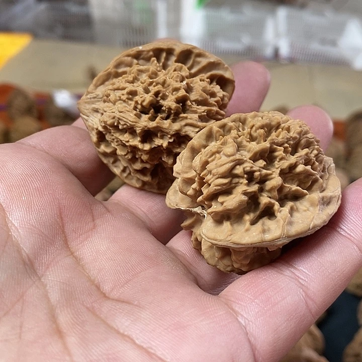 十***月核桃全品无修无药满天星42